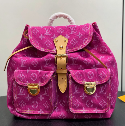 LOUIS VUITTON VENICE BAG